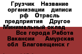 Грузчик › Название организации ­ диписи.рф › Отрасль предприятия ­ Другое › Минимальный оклад ­ 13 500 - Все города Работа » Вакансии   . Амурская обл.,Благовещенск г.